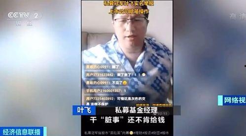 叶飞爆料完整视频大全,揭秘事件背后真相与内幕  第3张