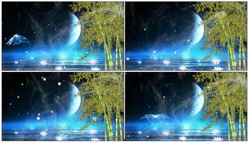 月光爆料最新视频下载网站,最新视频下载网站大起底 第3张 月光爆料最新视频下载网站,最新视频下载网站大起底 第3张