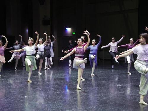 芭蕾爆料真人视频大全集,揭秘真人视频大全集 第2张 芭蕾爆料真人视频大全集,揭秘真人视频大全集 第2张