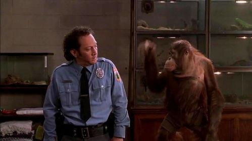 兽心在线观看,揭秘动物世界中的激情与冒险  第3张