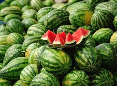 内蒙古拉拉圈网红吃瓜事件 第3张 内蒙古拉拉圈网红吃瓜事件 第3张